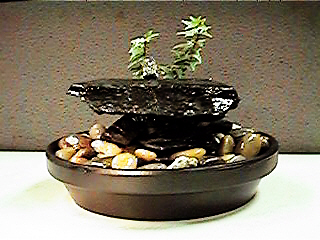 Blk Slate Pol Stone and Hammer blk dish 10